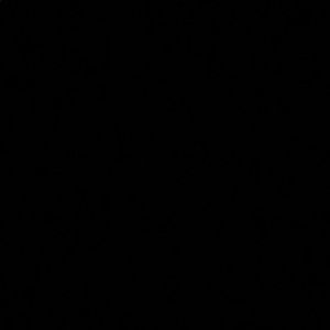 Meet your Posher, Tianna